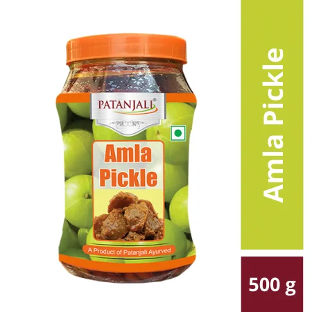 Home 74 Patanjali Amla Pickle 500 g